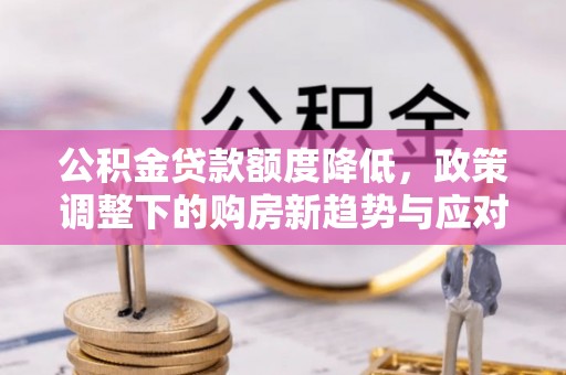 乐东公积金贷款额度降低，政策调整下的购房新趋势与应对策略