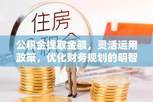 乐东公积金提取金额，灵活运用政策，优化财务规划的明智选择