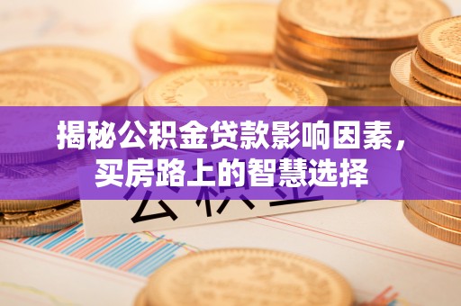 乐东揭秘公积金贷款影响因素，买房路上的智慧选择