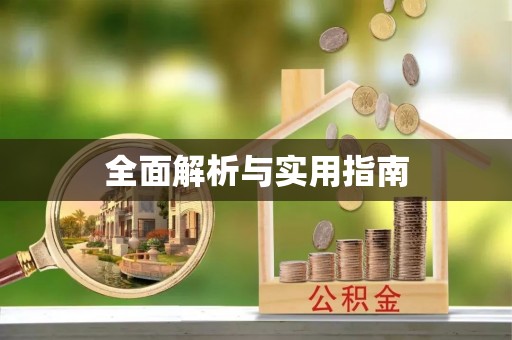 乐东全面解析与实用指南