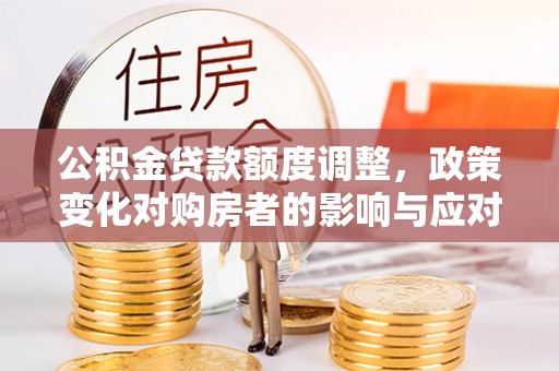 乐东公积金贷款额度调整，政策变化对购房者的影响与应对策略
