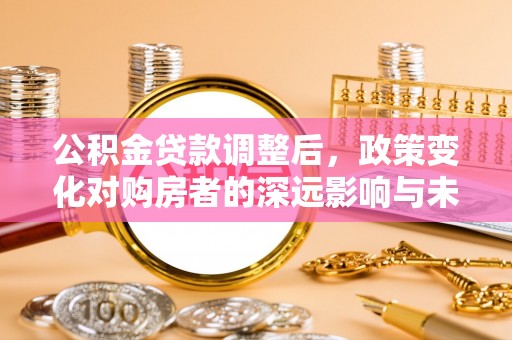 乐东公积金贷款调整后，政策变化对购房者的深远影响与未来趋势分析