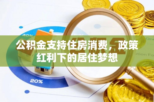 乐东公积金支持住房消费，政策红利下的居住梦想