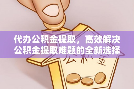 乐东代办公积金提取，高效解决公积金提取难题的全新选择