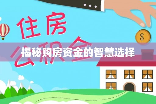 乐东揭秘购房资金的智慧选择