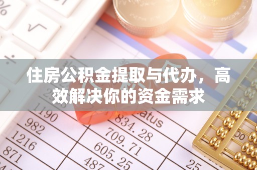乐东住房公积金提取与代办，高效解决你的资金需求