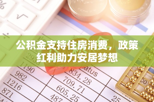 乐东公积金支持住房消费，政策红利助力安居梦想
