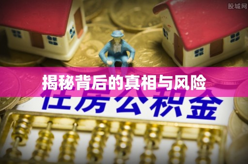 乐东揭秘背后的真相与风险