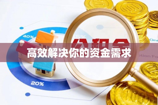 乐东高效解决你的资金需求