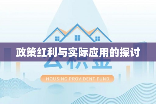 乐东政策红利与实际应用的探讨