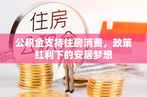 乐东公积金支持住房消费，政策红利下的安居梦想