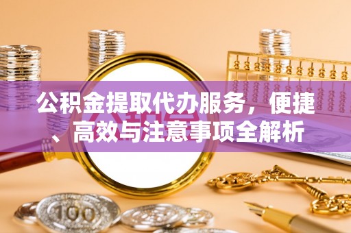乐东公积金提取代办服务，便捷、高效与注意事项全解析