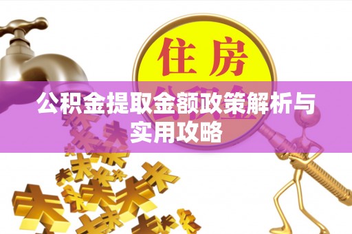 乐东公积金提取金额政策解析与实用攻略