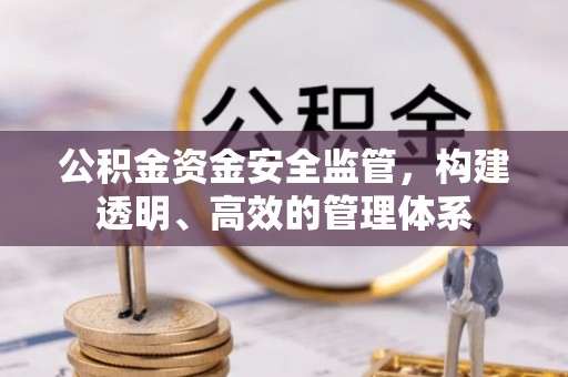 乐东公积金资金安全监管，构建透明、高效的管理体系