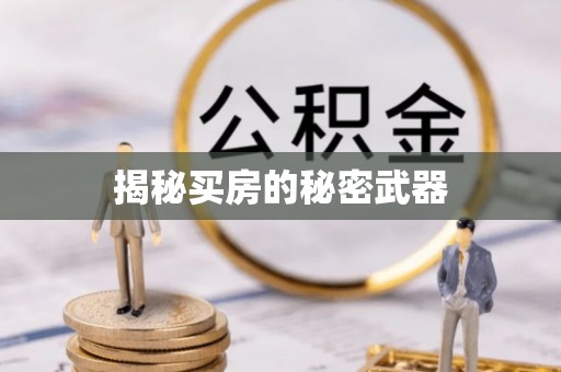 乐东揭秘买房的秘密武器