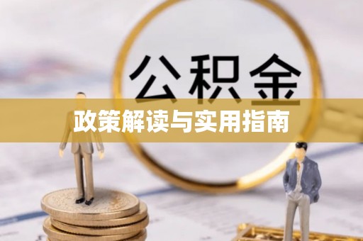 乐东政策解读与实用指南