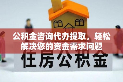 乐东公积金咨询代办提取，轻松解决您的资金需求问题