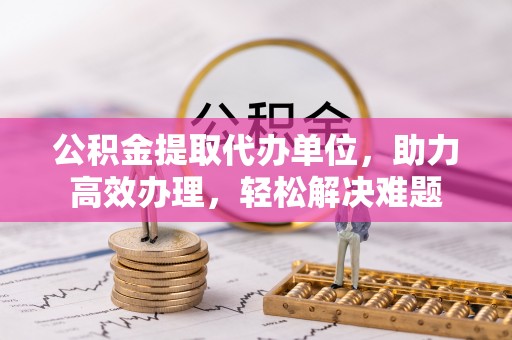 乐东公积金提取代办单位，助力高效办理，轻松解决难题