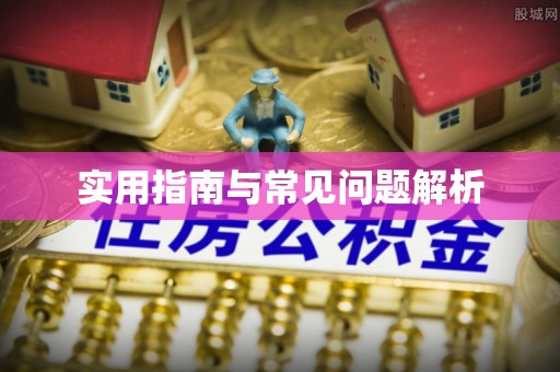 乐东实用指南与常见问题解析