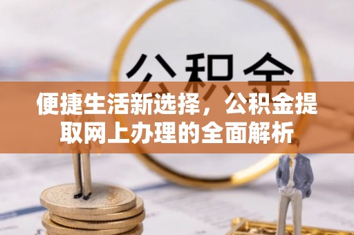 乐东便捷生活新选择，公积金提取网上办理的全面解析