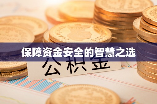 乐东保障资金安全的智慧之选