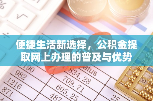 乐东便捷生活新选择，公积金提取网上办理的普及与优势