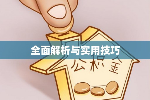 乐东全面解析与实用技巧