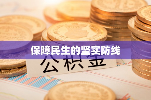 乐东保障民生的坚实防线
