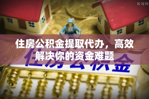 乐东住房公积金提取代办，高效解决你的资金难题