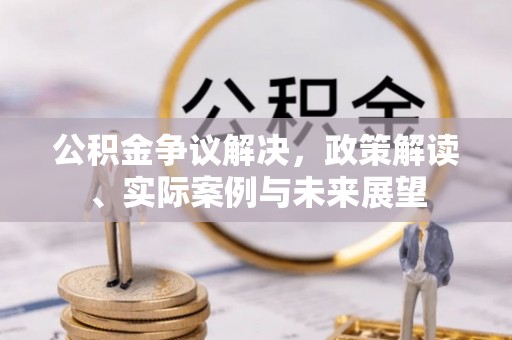 乐东公积金争议解决，政策解读、实际案例与未来展望