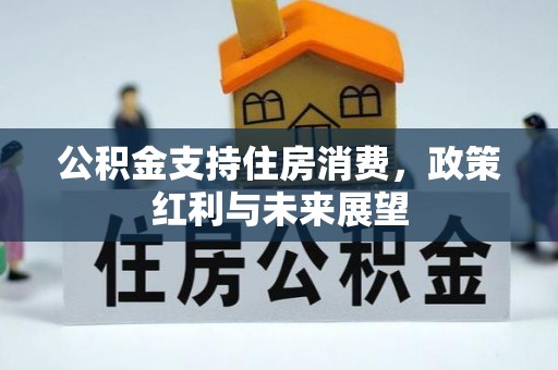 乐东公积金支持住房消费，政策红利与未来展望