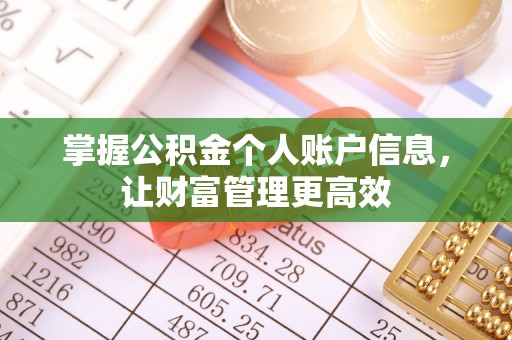 乐东掌握公积金个人账户信息，让财富管理更高效