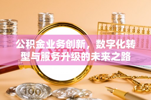 乐东公积金业务创新，数字化转型与服务升级的未来之路