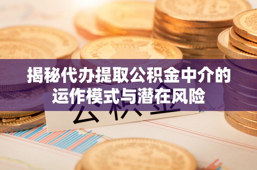 乐东揭秘代办提取公积金中介的运作模式与潜在风险