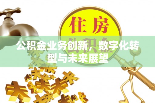 乐东公积金业务创新，数字化转型与未来展望