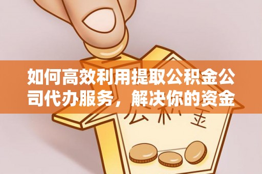 乐东如何高效利用提取公积金公司代办服务，解决你的资金难题