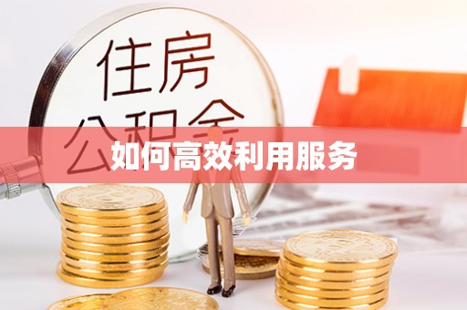 乐东如何高效利用服务