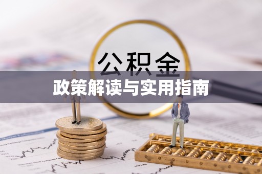 乐东政策解读与实用指南