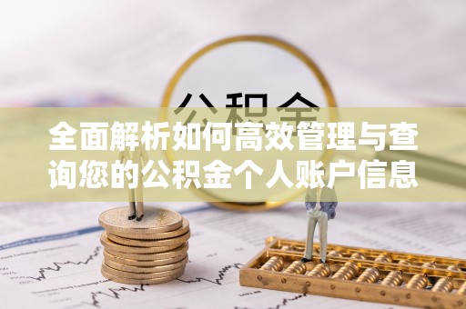 乐东全面解析如何高效管理与查询您的公积金个人账户信息