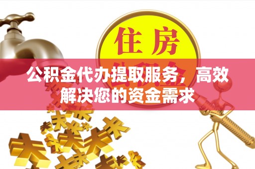 乐东公积金代办提取服务，高效解决您的资金需求