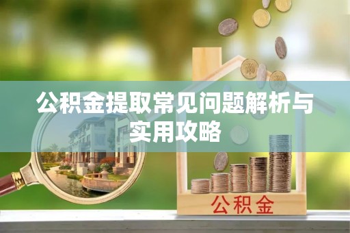 乐东公积金提取常见问题解析与实用攻略