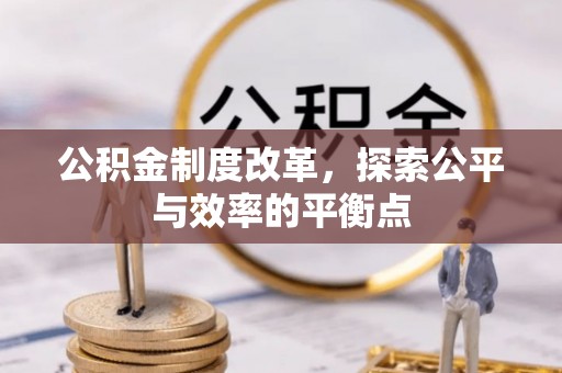 乐东公积金制度改革，探索公平与效率的平衡点