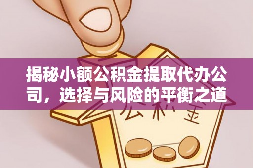 乐东揭秘小额公积金提取代办公司，选择与风险的平衡之道