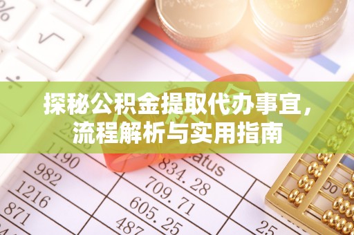乐东探秘公积金提取代办事宜，流程解析与实用指南