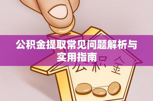乐东公积金提取常见问题解析与实用指南