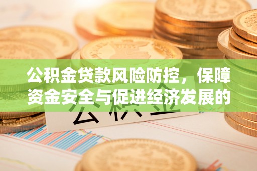 乐东公积金贷款风险防控，保障资金安全与促进经济发展的平衡之道