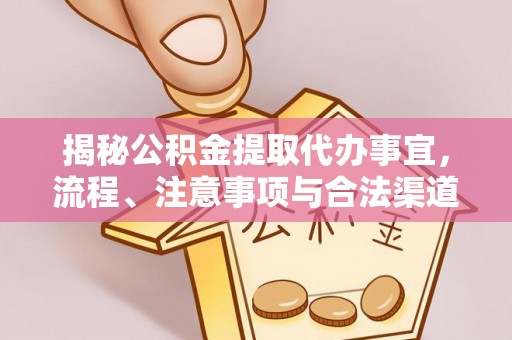 乐东揭秘公积金提取代办事宜，流程、注意事项与合法渠道