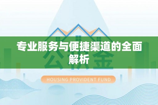 乐东专业服务与便捷渠道的全面解析