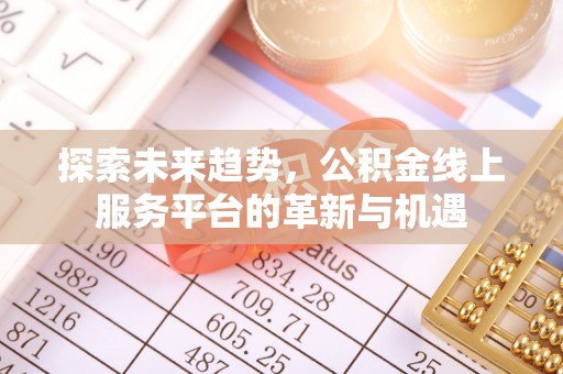 乐东探索未来趋势，公积金线上服务平台的革新与机遇