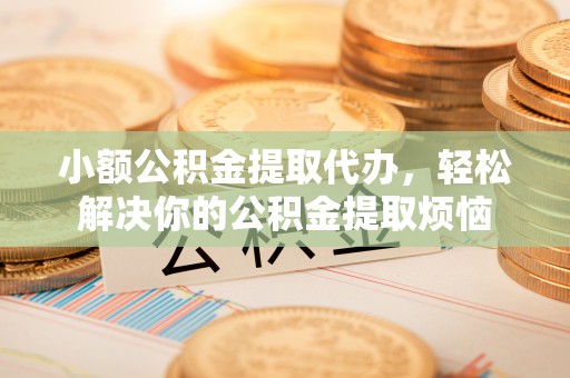 乐东小额公积金提取代办，轻松解决你的公积金提取烦恼